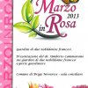 marzo in rosa  cammarano